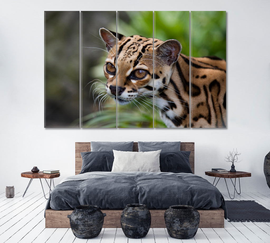 Margay Wild Cat Canvas Print ArtLexy 5 Panels 36"x24" inches 
