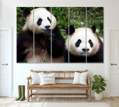Two Panda Bear Eating Bamboo Canvas Print ArtLexy 5 Panels 36"x24" inches 