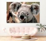 Koala on Tree Canvas Print ArtLexy 5 Panels 36"x24" inches 