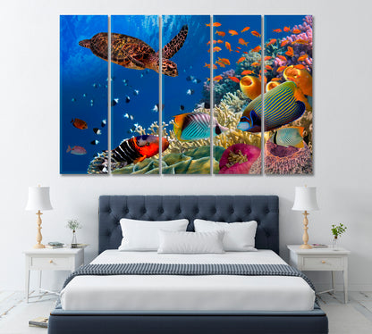 Red Sea Colorful Coral Reef with Fishes and Turtle Egypt Canvas Print ArtLexy 5 Panels 36"x24" inches 