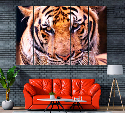 Cute Tiger Canvas Print ArtLexy 5 Panels 36"x24" inches 
