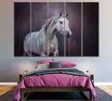 Portrait of Arabian Horse Canvas Print ArtLexy 5 Panels 36"x24" inches 