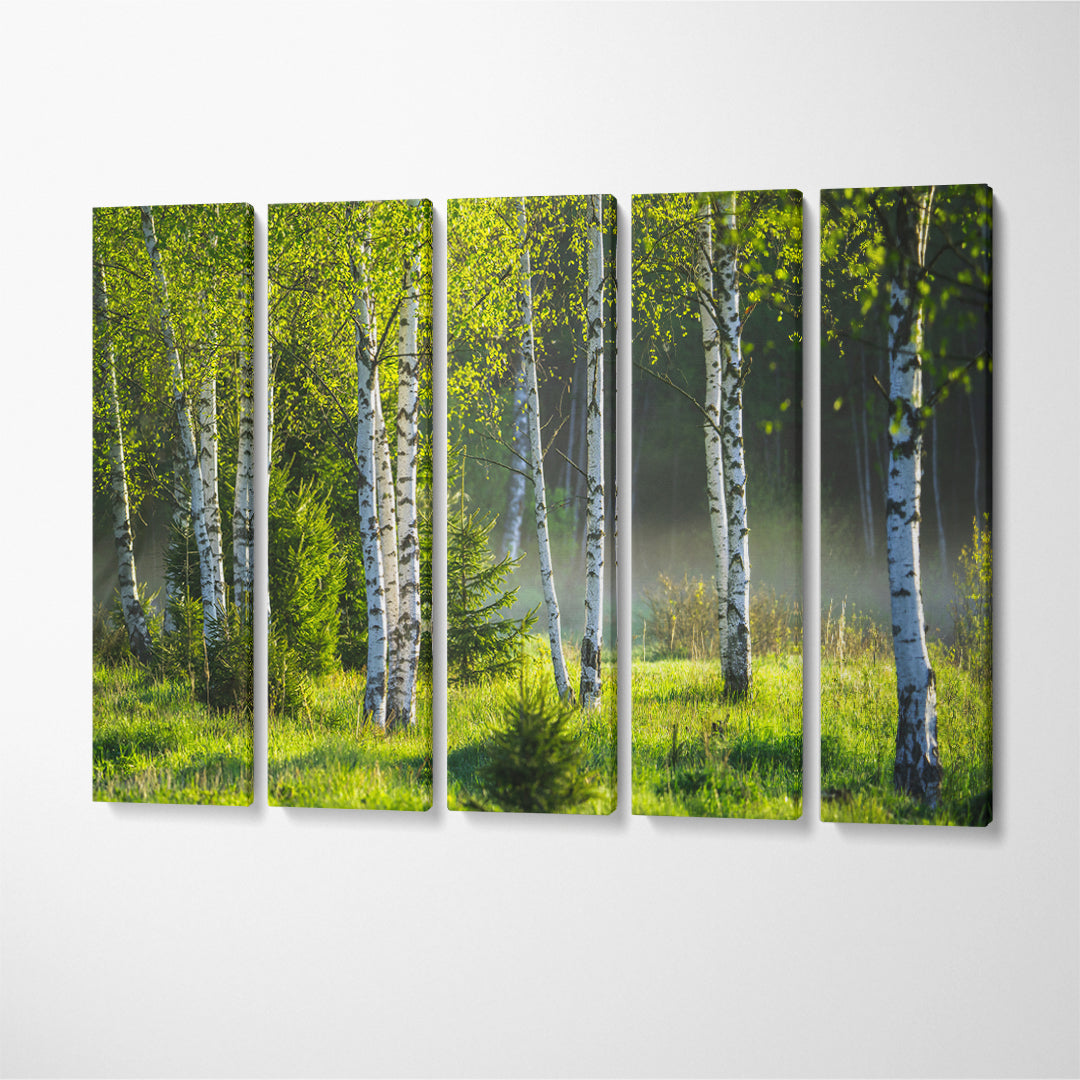 Birch Grove Canvas Print ArtLexy 5 Panels 36"x24" inches 