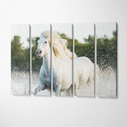 White Horses Running in Water Canvas Print ArtLexy 5 Panels 36"x24" inches 