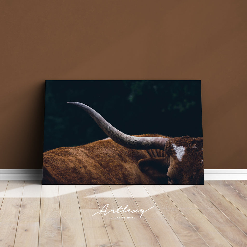 Texas Longhorn Cow Canvas Print ArtLexy   