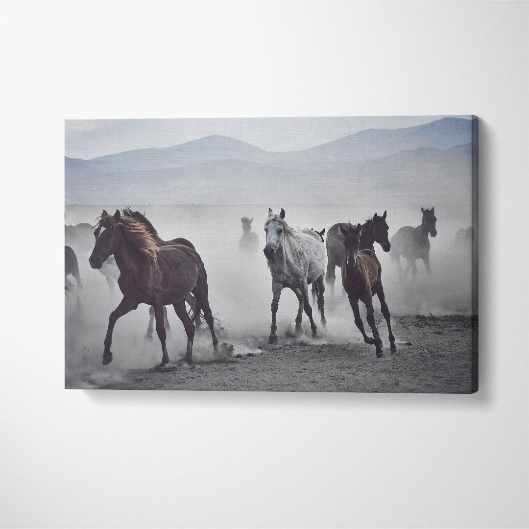 Herd of Wild Horses in Desert Canvas Print ArtLexy 1 Panel 24"x16" inches 