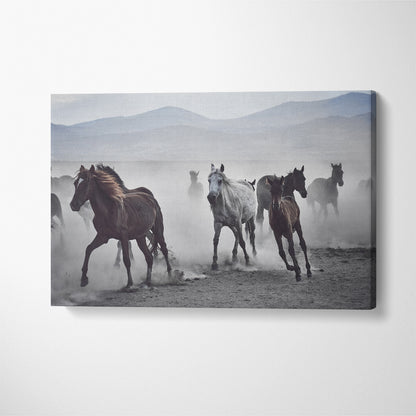 Herd of Wild Horses in Desert Canvas Print ArtLexy 1 Panel 24"x16" inches 