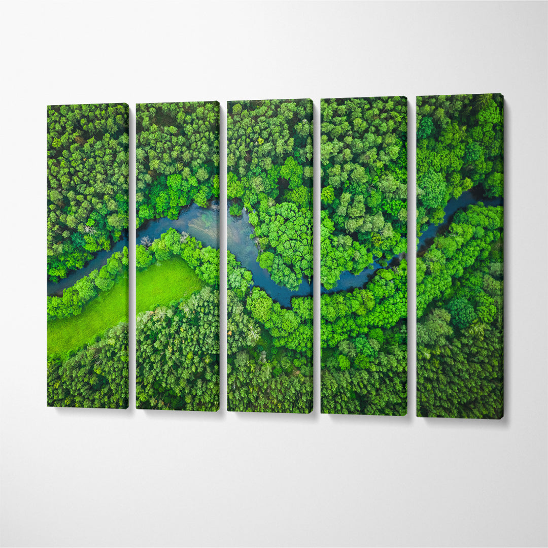 Tuchola Forest with River Canvas Print ArtLexy 5 Panels 36"x24" inches 