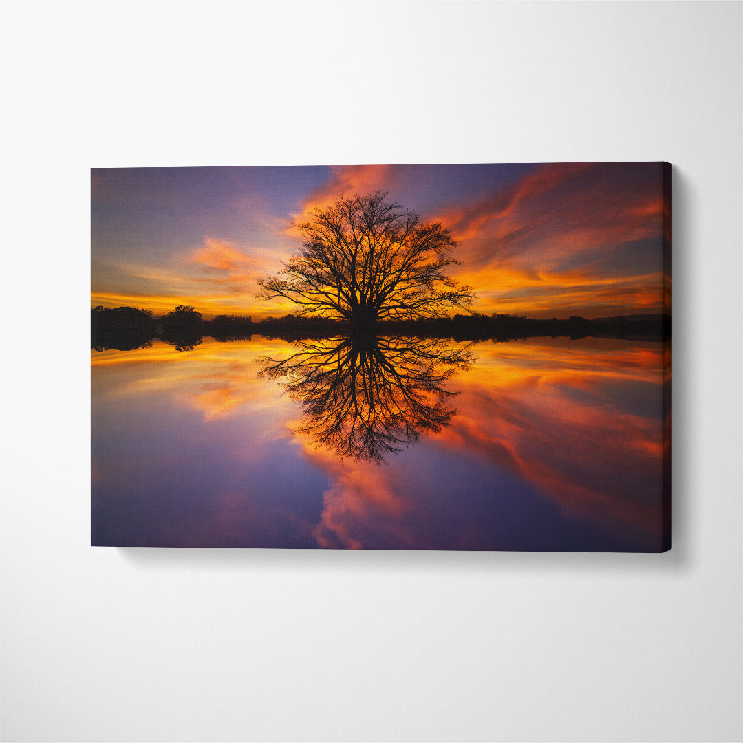 Beautiful Tree Reflected in Water at Sunset Canvas Print ArtLexy 1 Panel 24"x16" inches 