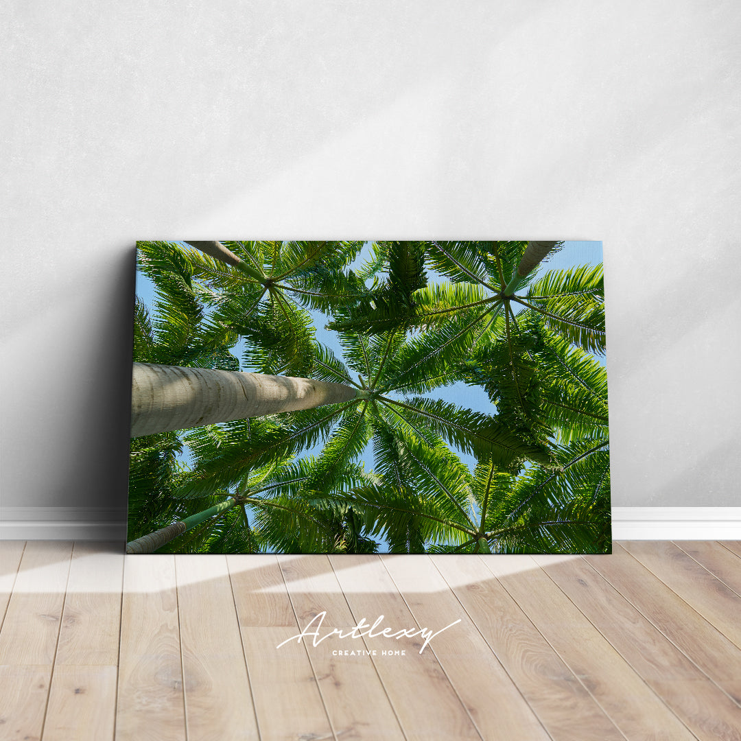 Palm Trees Canvas Print ArtLexy   