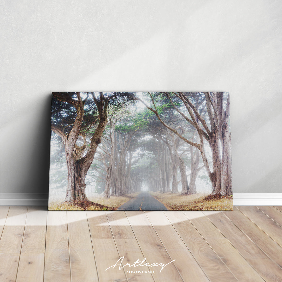 Misty Tree Tunnel Canvas Print ArtLexy   