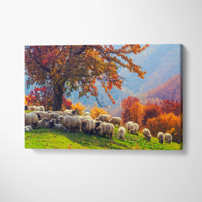 Sheep in Romanian Carpathians Canvas Print ArtLexy 1 Panel 24"x16" inches 