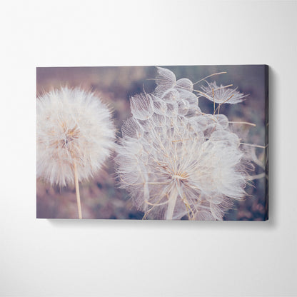 Beautiful Fluffy Dandelion Flower Canvas Print ArtLexy   