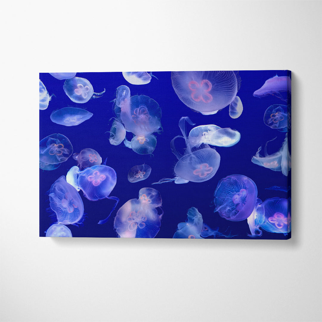 Glow Jellyfish in Blue Sea Canvas Print ArtLexy 1 Panel 24"x16" inches 