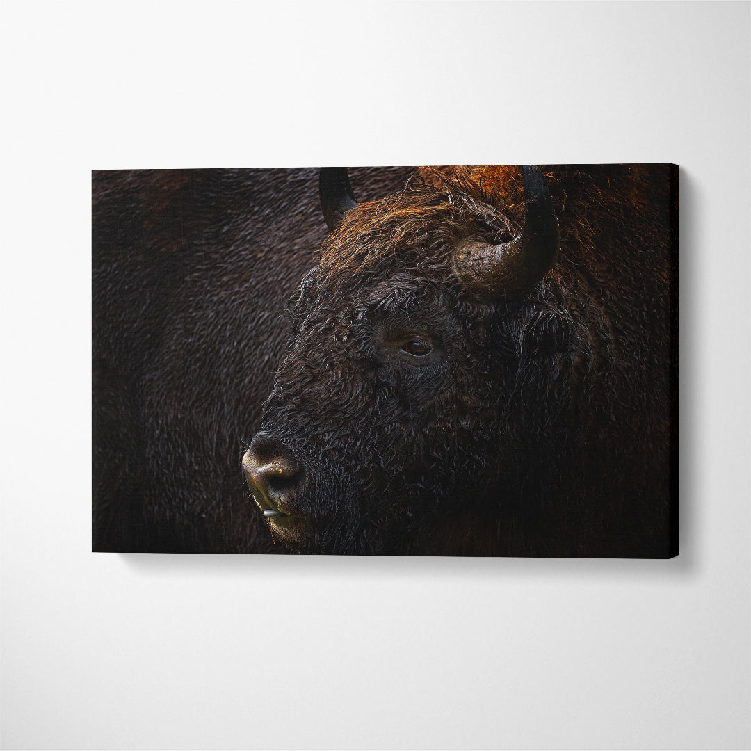 Amazing Bison Portrait Canvas Print ArtLexy 1 Panel 24"x16" inches 