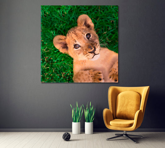 Little Lion Cub Canvas Print ArtLexy 1 Panel 12"x12" inches 