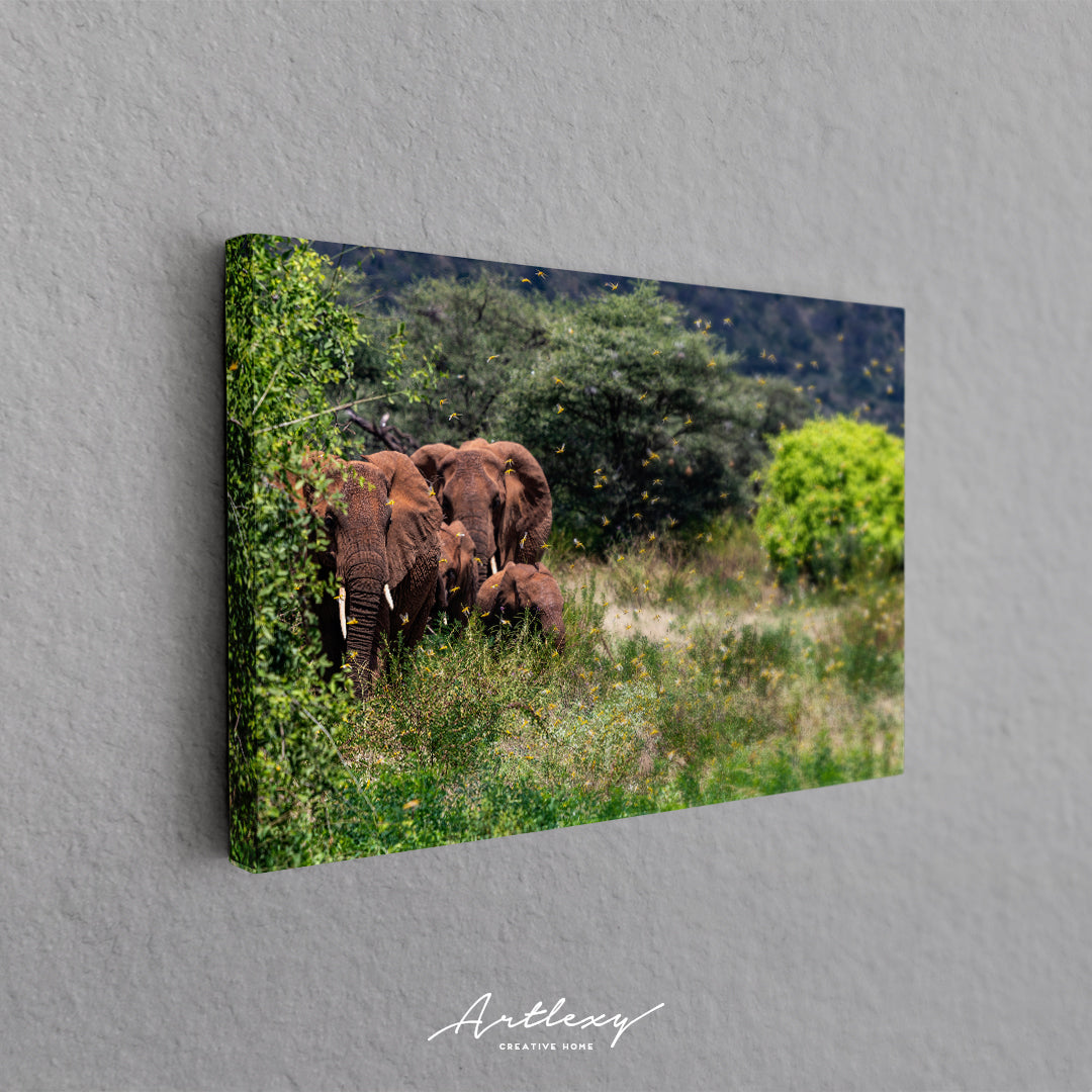 Elephants in Kenya Canvas Print ArtLexy   