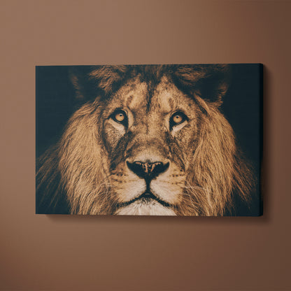 African Lion Portrait Canvas Print ArtLexy 1 Panel 24"x16" inches 
