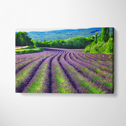 Lavender Fields in Provence France Canvas Print ArtLexy 1 Panel 24"x16" inches 