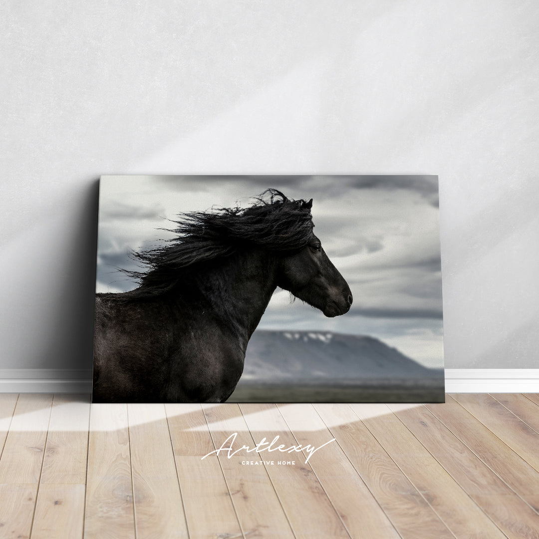 Beautiful Black Wild Horse Canvas Print ArtLexy   