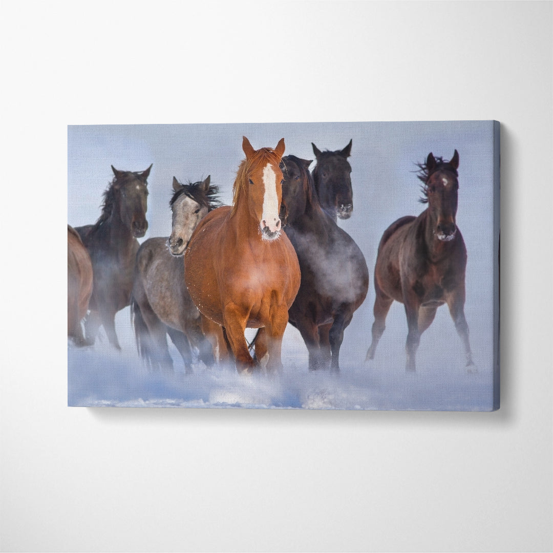 Horses Running in Snow Canvas Print ArtLexy 1 Panel 24"x16" inches 