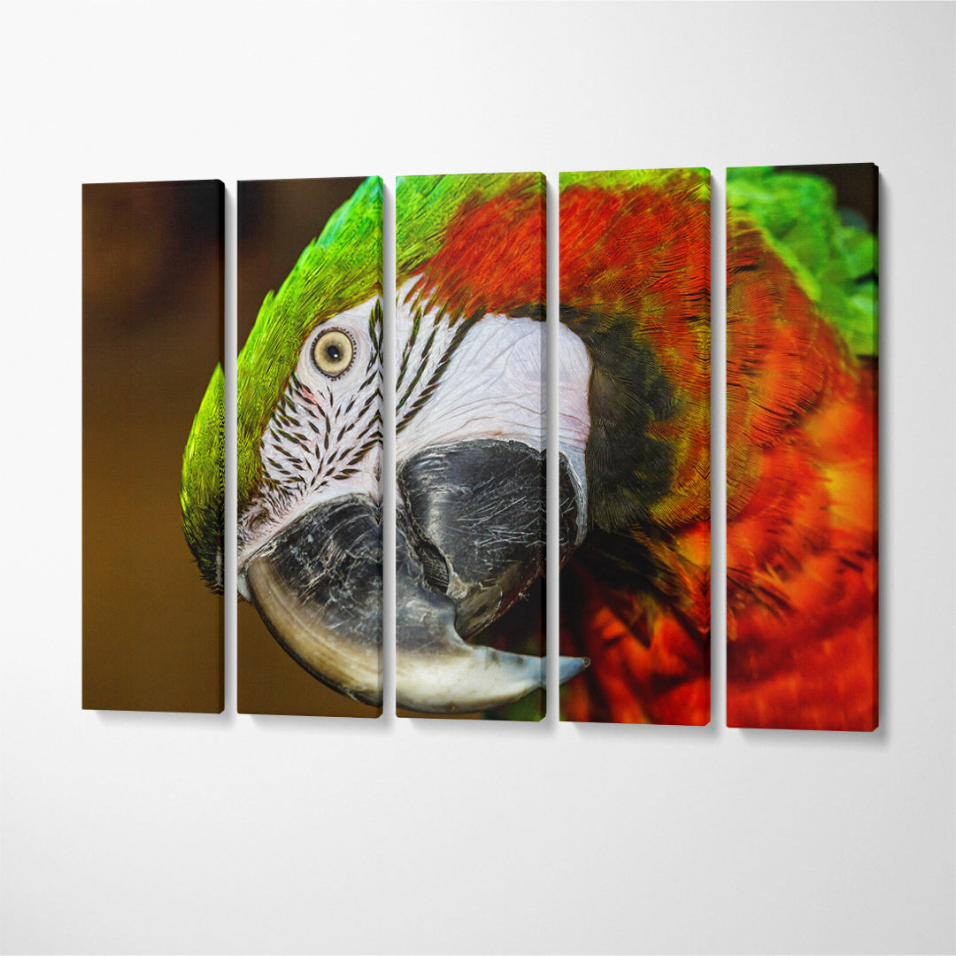 Red-and-Green Macaw Canvas Print ArtLexy 5 Panels 36"x24" inches 