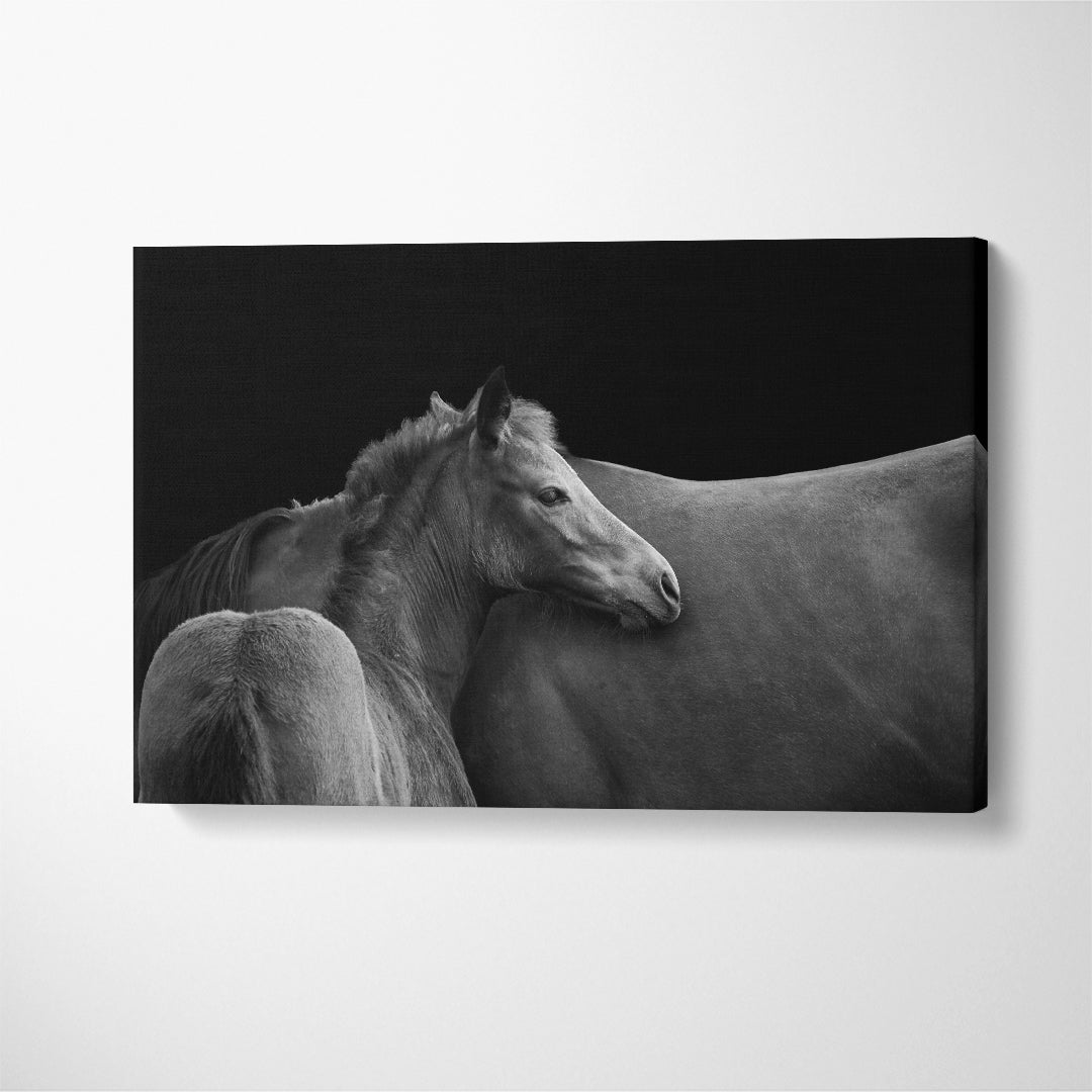 Horse Silhouette with Foal in Black and White Canvas Print ArtLexy 1 Panel 24"x16" inches 