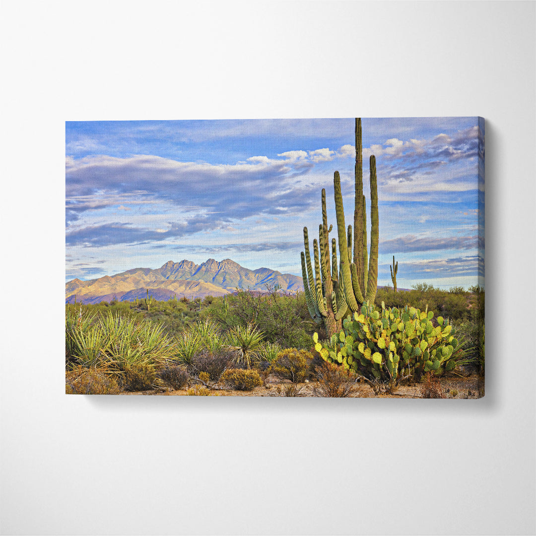 Saguaro Cactus in Phoenix Arizona Canvas Print ArtLexy 1 Panel 24"x16" inches 