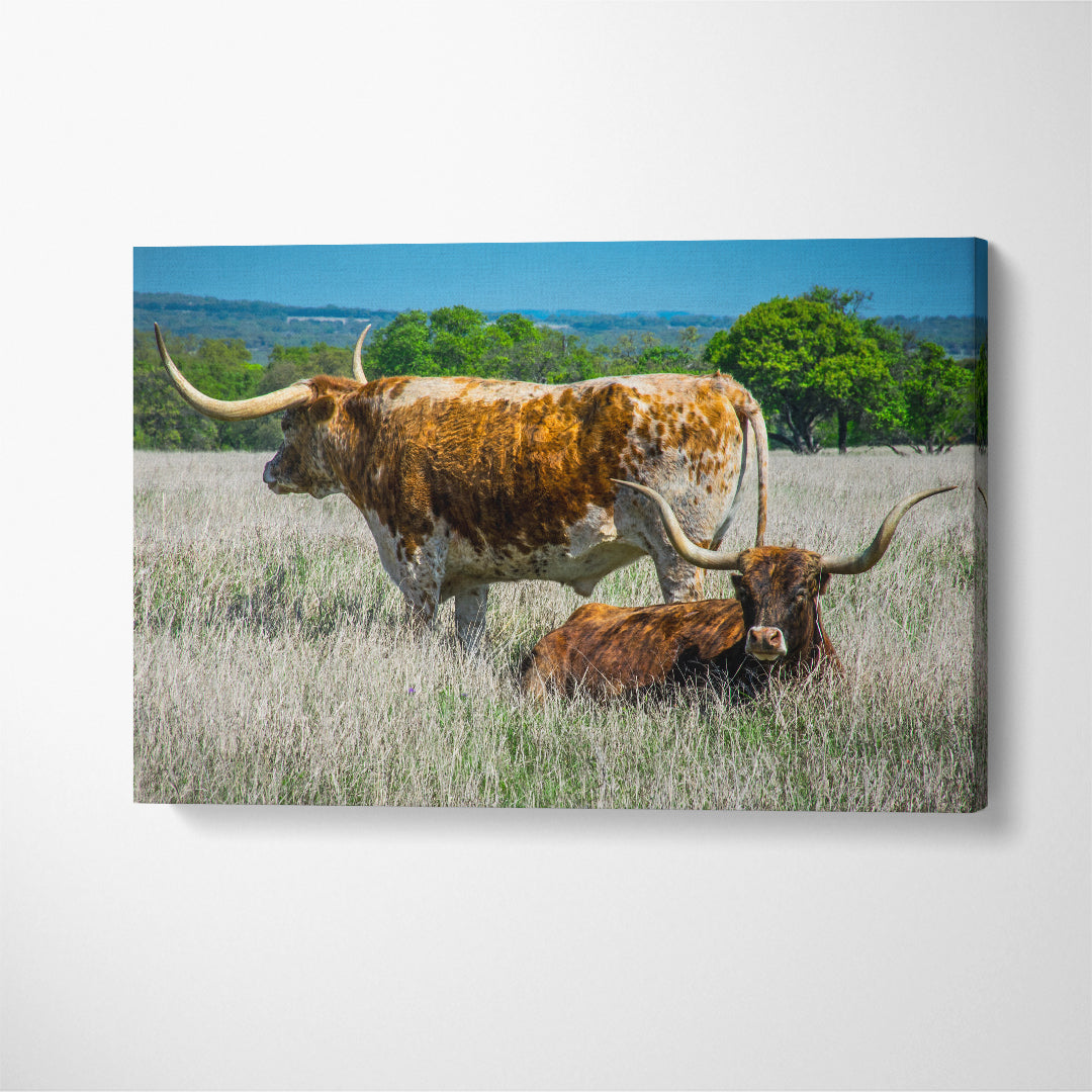 Texas Longhorn Canvas Print ArtLexy 1 Panel 24"x16" inches 