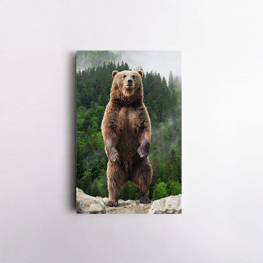 Brown Bear in Forest Canvas Print ArtLexy   