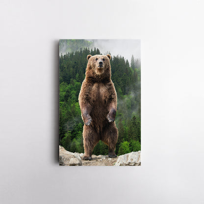 Brown Bear in Forest Canvas Print ArtLexy   