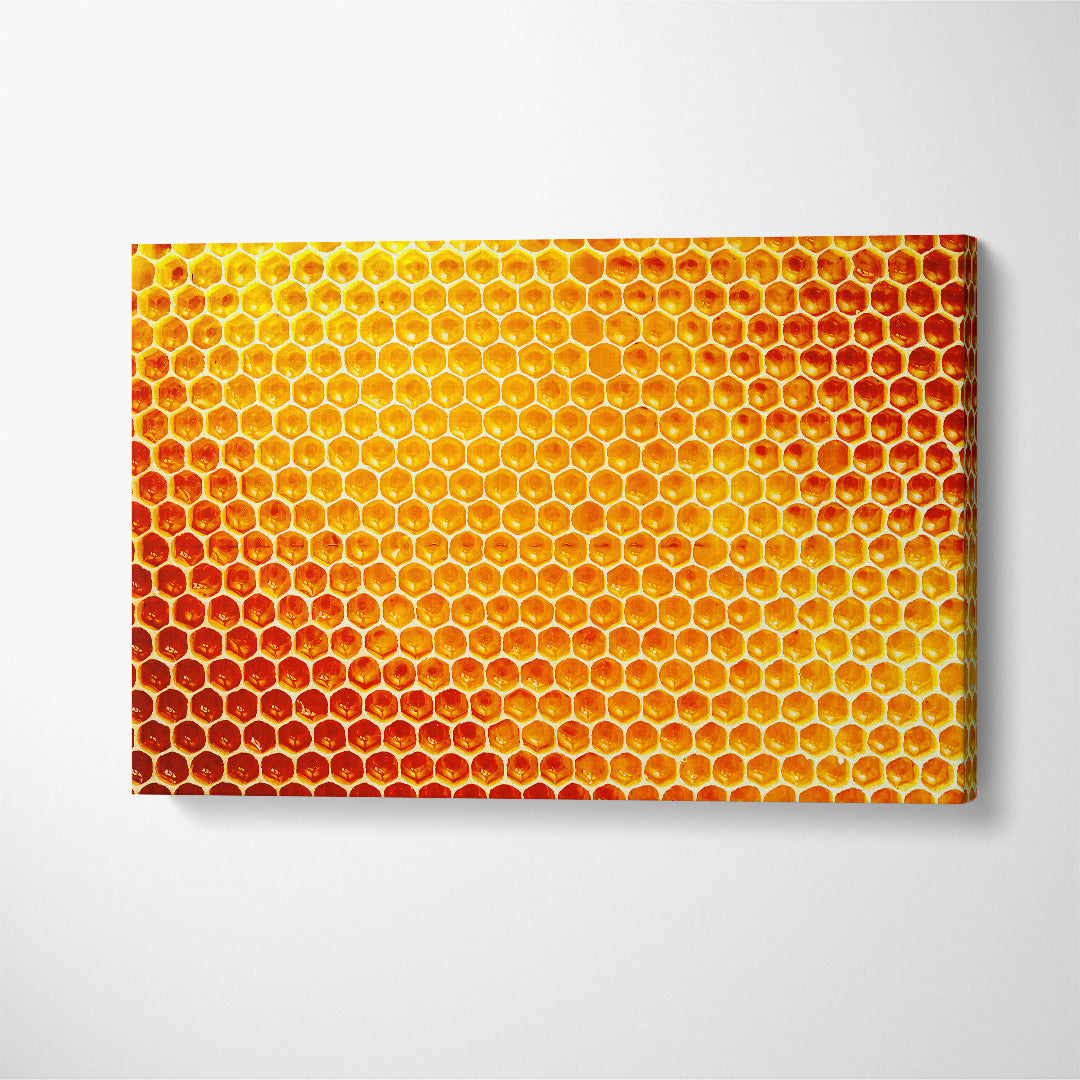 Honeycomb from Beehive Canvas Print ArtLexy 1 Panel 24"x16" inches 