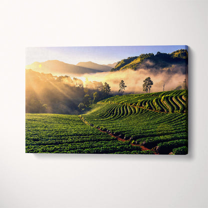 Amazing Landscape Strawberry Farm at Doi Ang Khang Thailand Canvas Print ArtLexy 1 Panel 24"x16" inches 