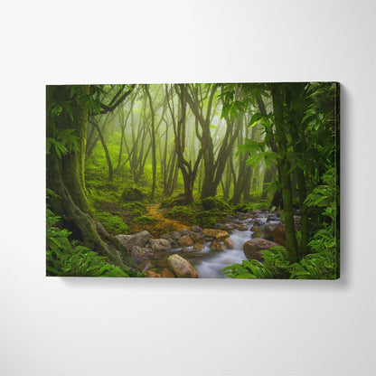 Tropical Rainforest Canvas Print ArtLexy 1 Panel 24"x16" inches 