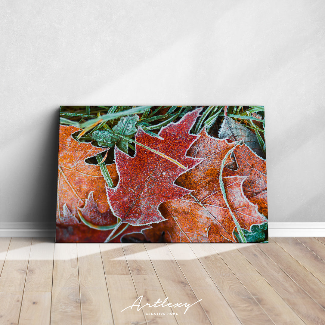 Beautiful Frosty Leaves Canvas Print ArtLexy   
