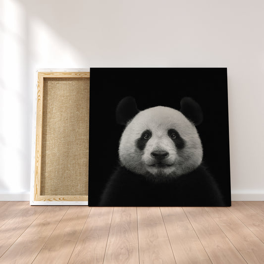 Panda Bear Canvas Print ArtLexy 1 Panel 12"x12" inches 