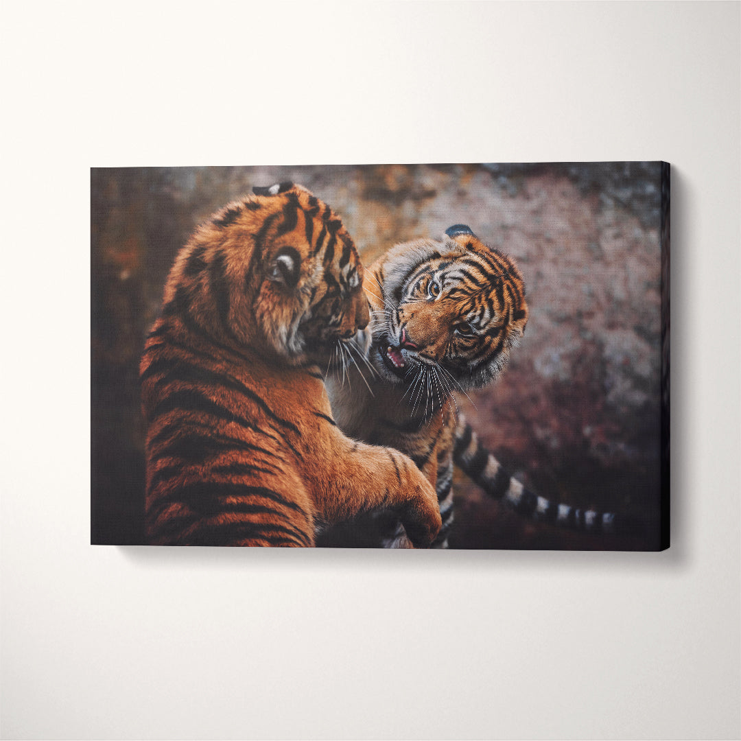 Two Sumatran Tiger Fighting Canvas Print ArtLexy 1 Panel 24"x16" inches 