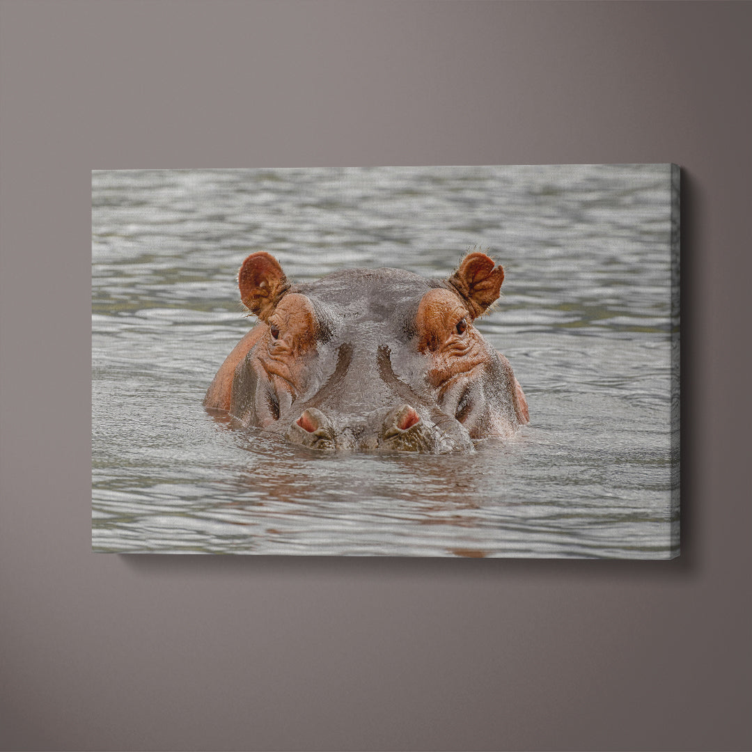 Hippopotamus Ngorongoro Crater Tanzania Africa Canvas Print ArtLexy 1 Panel 24"x16" inches 