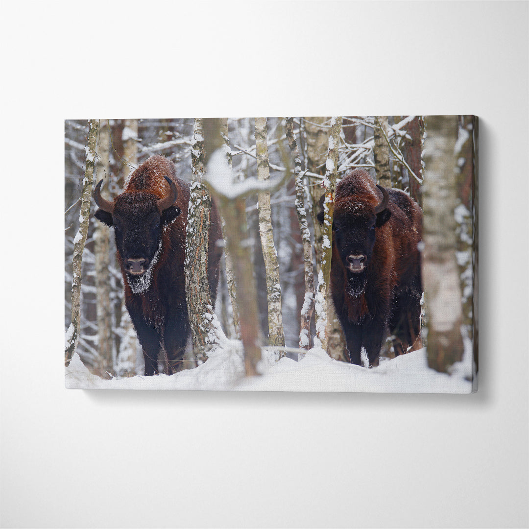 European Bison in Winter Forest Canvas Print ArtLexy 1 Panel 24"x16" inches 
