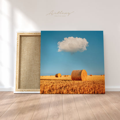 Hay-roll on Meadow Ukraine Canvas Print ArtLexy   