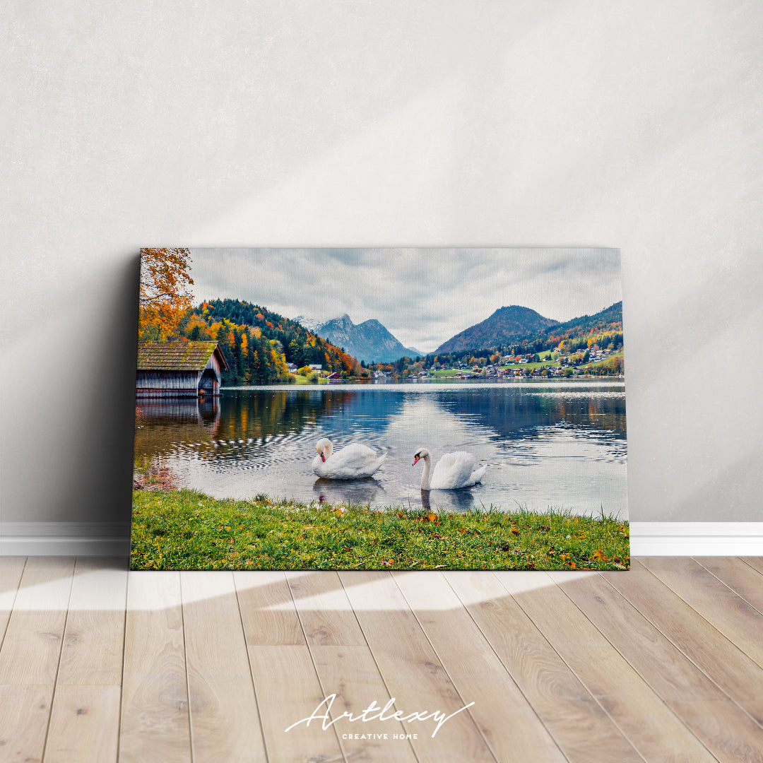 Swans on Grundlsee Lake Alps Canvas Print ArtLexy   