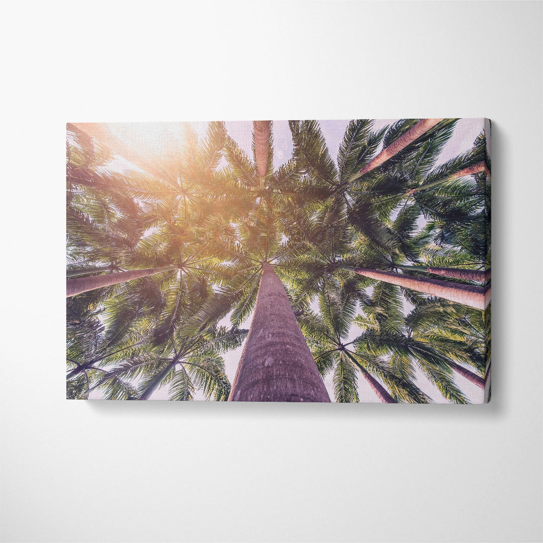 Coconut Palm Trees Canvas Print ArtLexy 1 Panel 24"x16" inches 