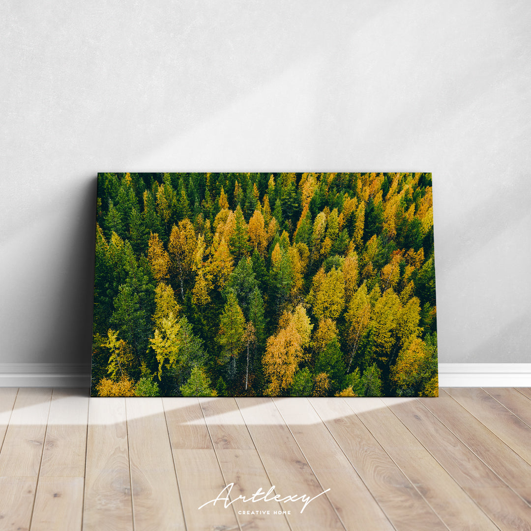 Top View of Finland Autumn Forest Canvas Print ArtLexy   