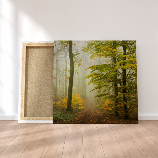 Footpath through Autumn Misty Forest Canvas Print ArtLexy   