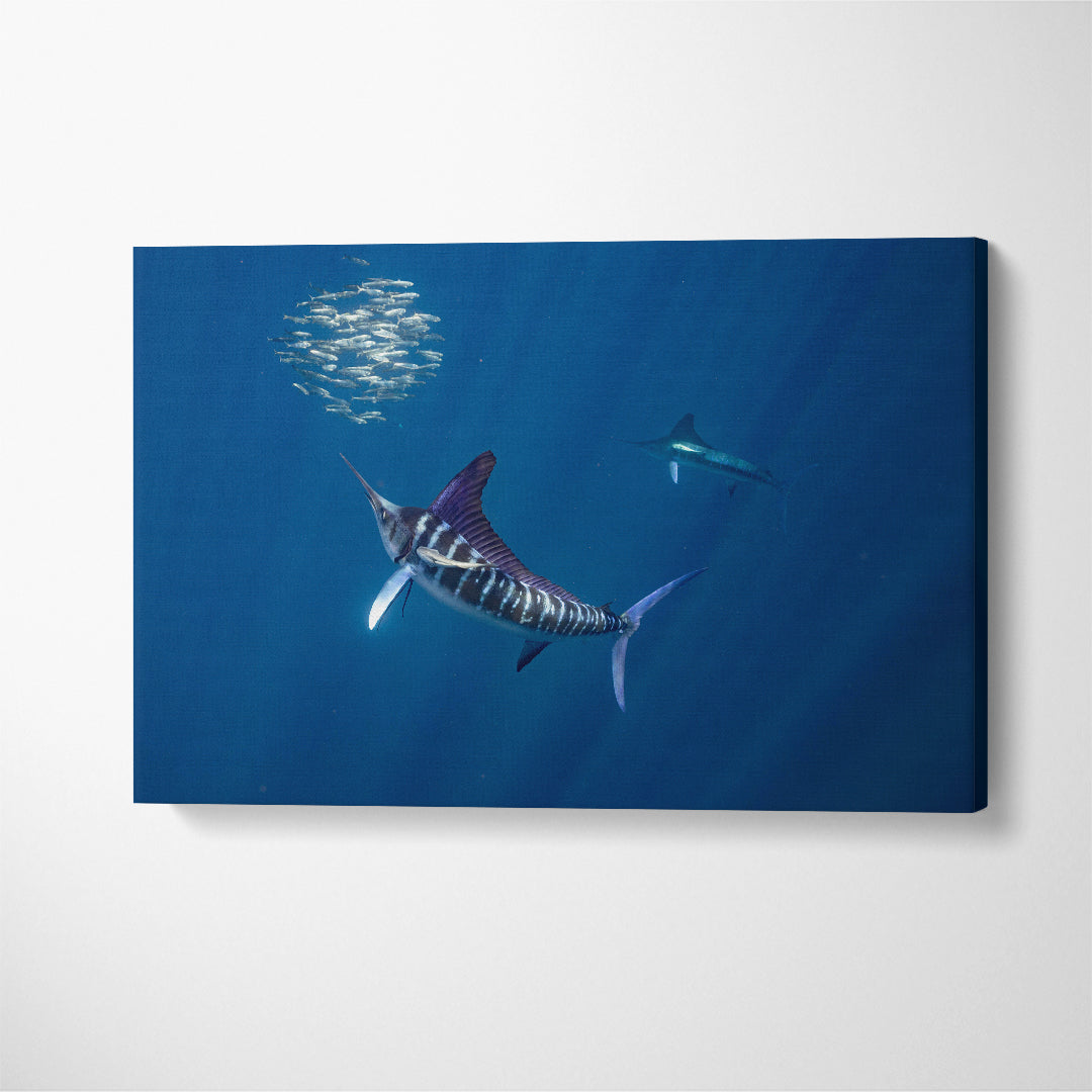 Striped-Marlin Mexico Canvas Print ArtLexy 1 Panel 24"x16" inches 