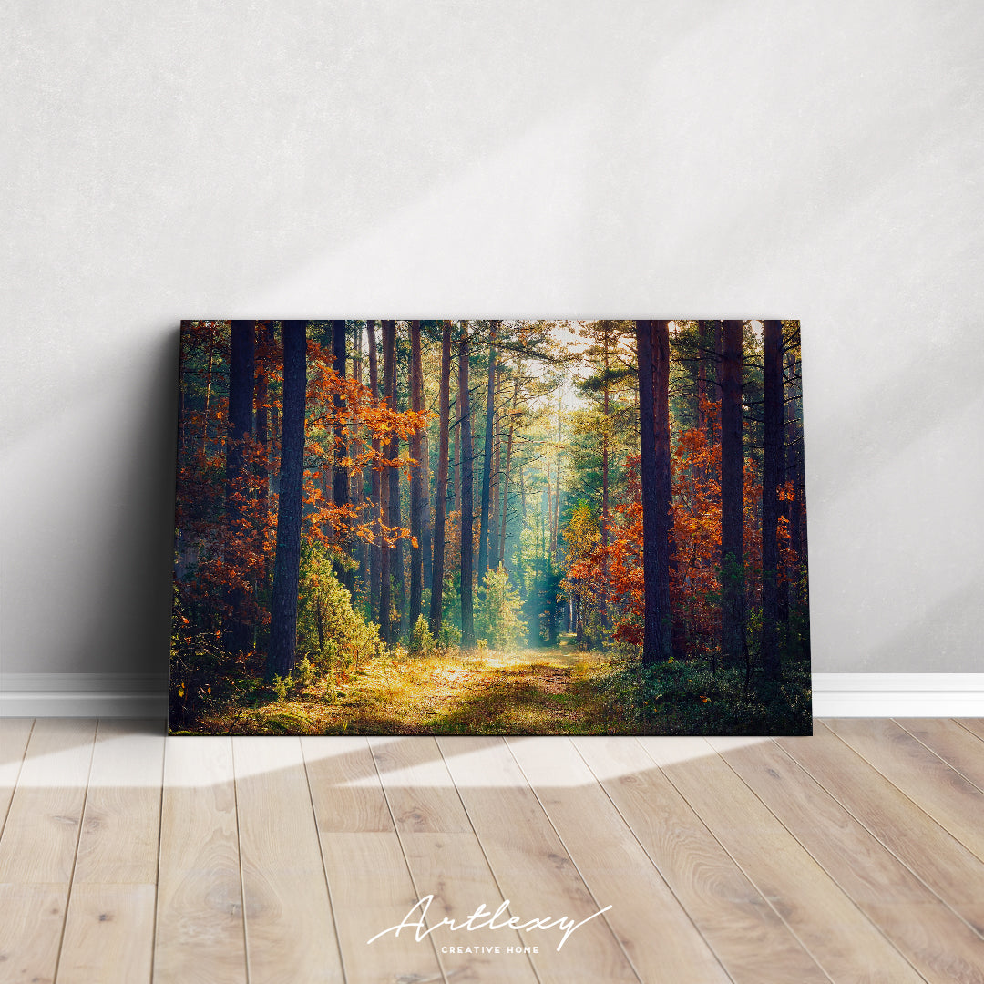 Beautiful Forest with Sun Rays Canvas Print ArtLexy   