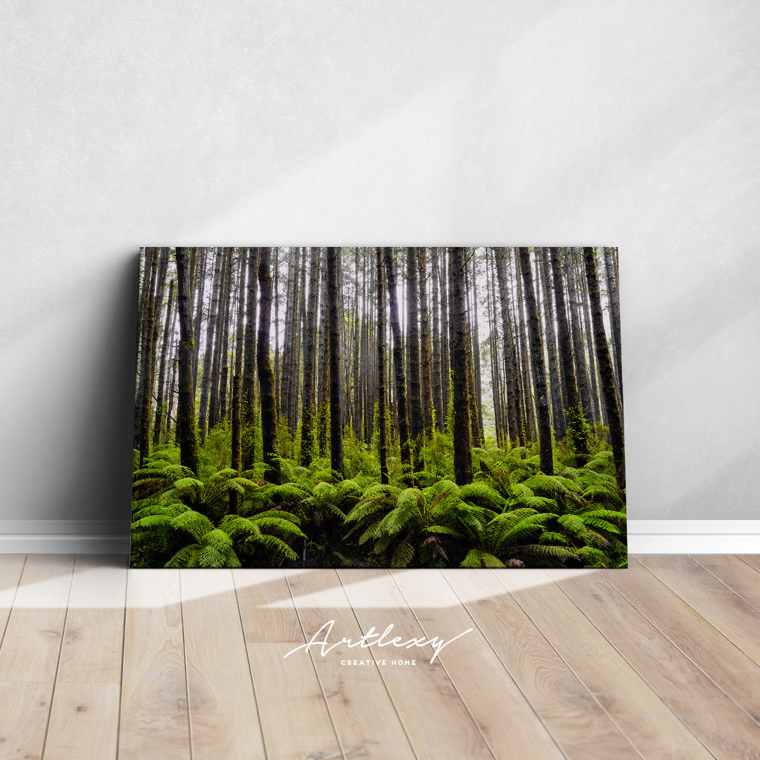 Green Old Forest Canvas Print ArtLexy   