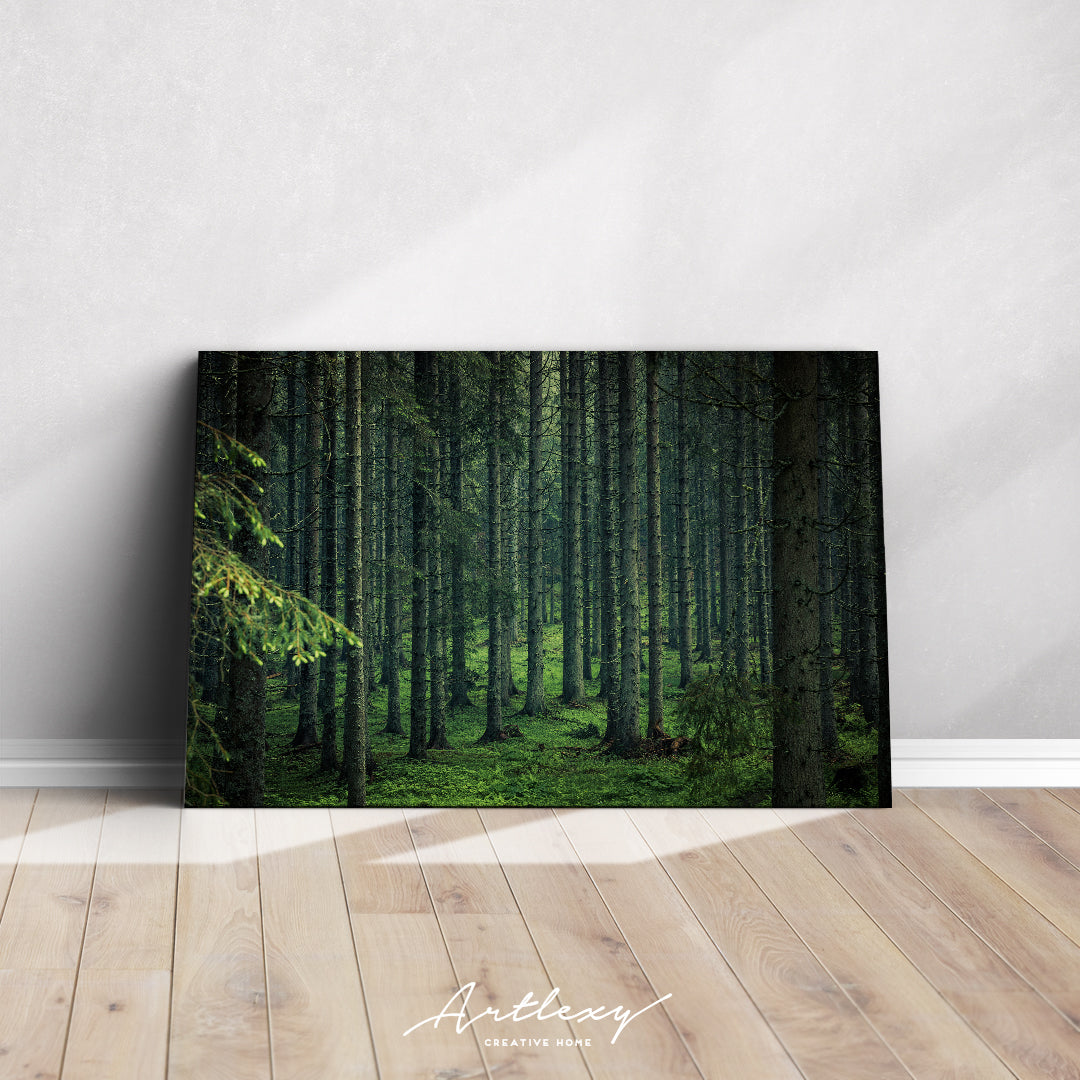 Beautiful Moody Forest in Slovenia Canvas Print ArtLexy   