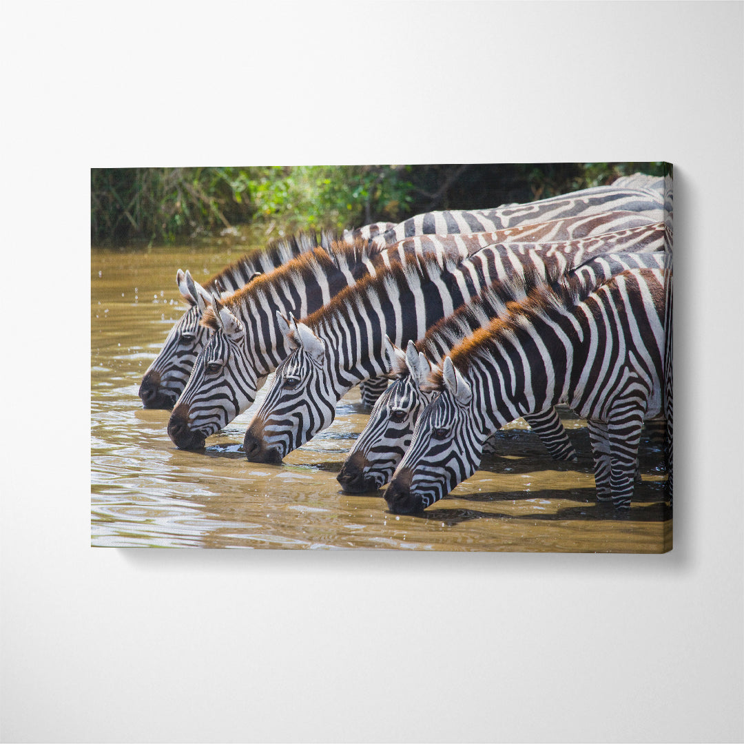 Zebras at Watering Hole Kenya Tanzania Canvas Print ArtLexy 1 Panel 24"x16" inches 