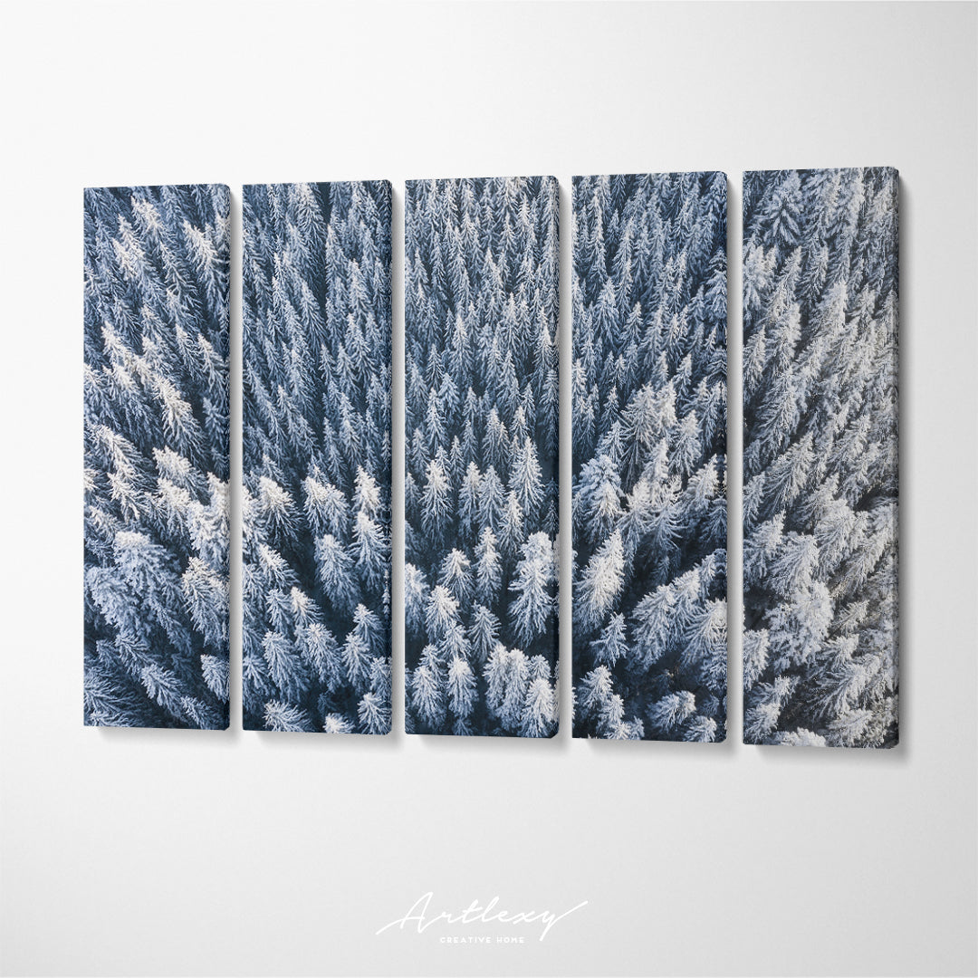 Winter Forest Canvas Print ArtLexy   